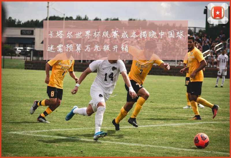 卡塔尔世界杯观赛成本揭晓中国球迷需预算万元级开销