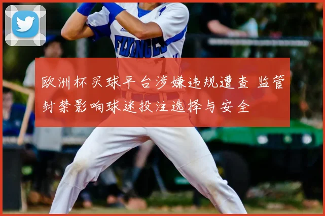 欧洲杯买球平台涉嫌违规遭查 监管封禁影响球迷投注选择与安全