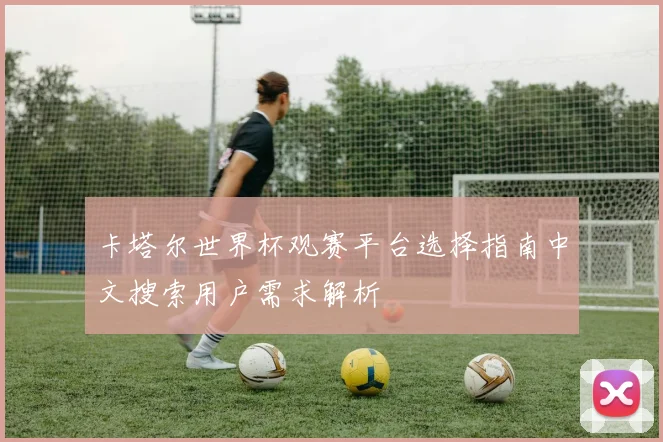 卡塔尔世界杯观赛平台选择指南中文搜索用户需求解析