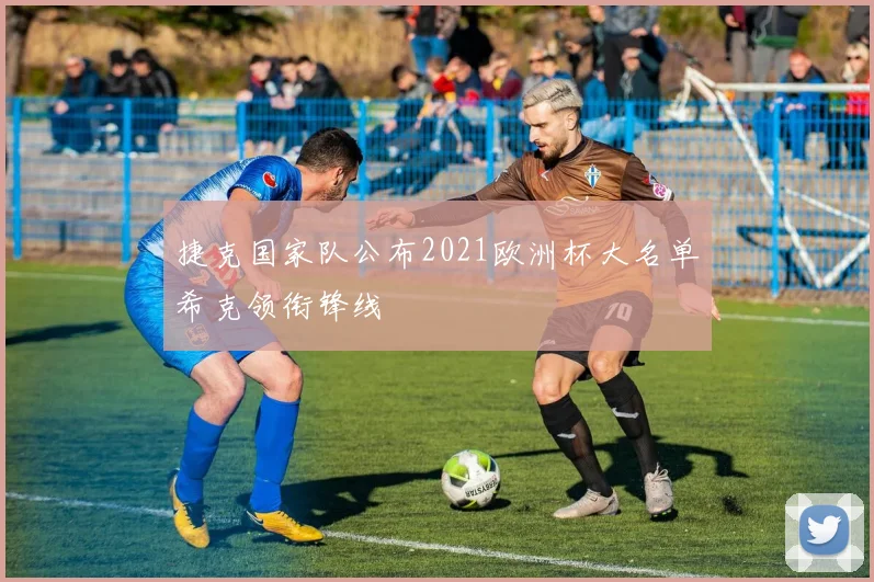 捷克国家队公布2021欧洲杯大名单希克领衔锋线