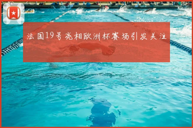 法国19号亮相欧洲杯赛场引发关注